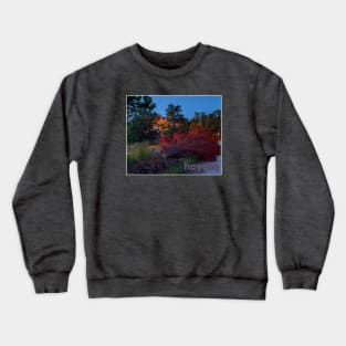 Hayden Crewneck Sweatshirt